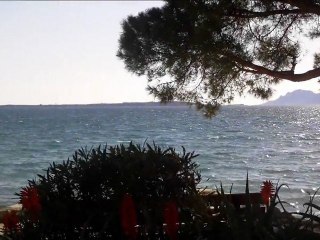 Tangerine Dream. The Silver Boots of Bartlett Green.