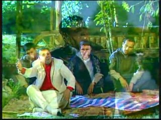 Yolcular - Bahçede Yeşil Çınar