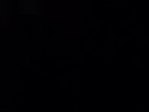 Cris des singes hurleurs le 8 dec 2011 à 5h du matin