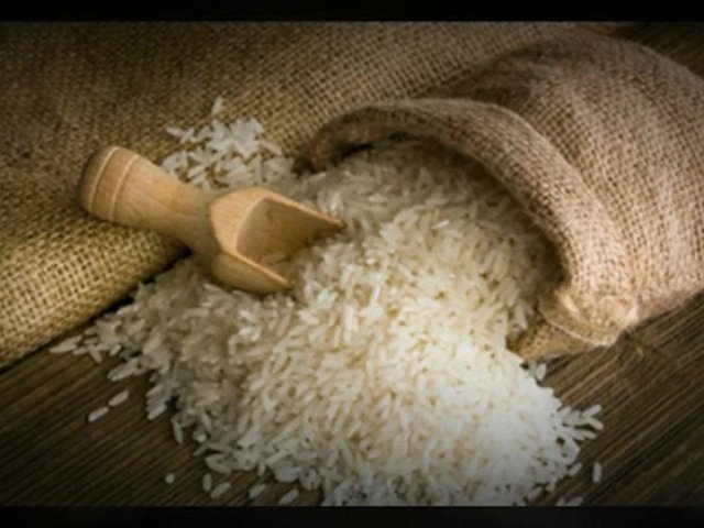 Rice Investment