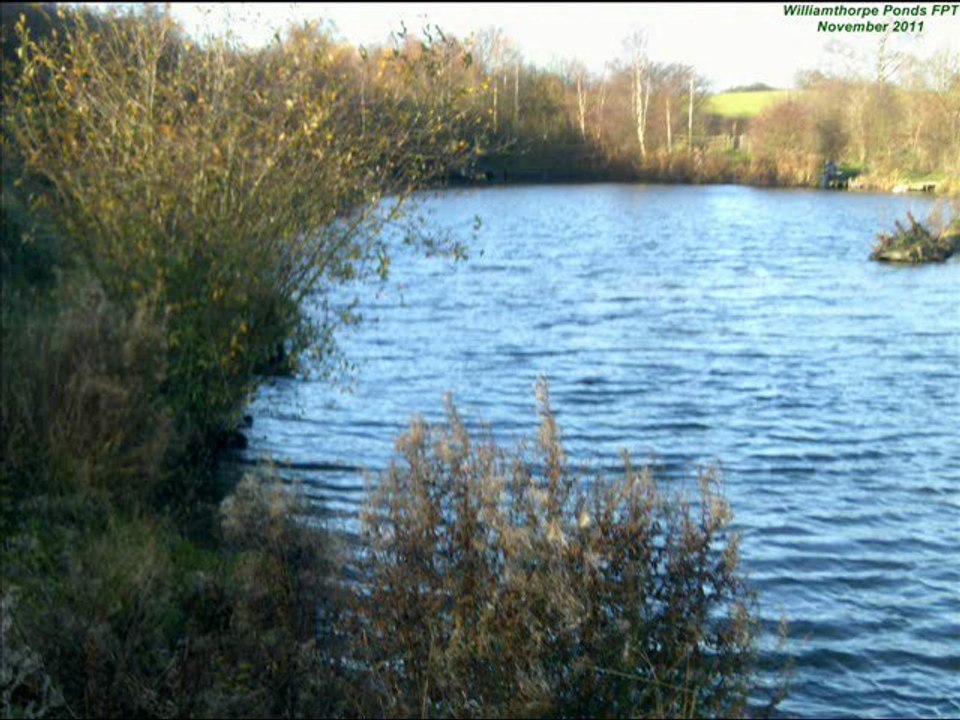 Trail Trekking Gallery 01