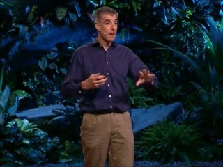 Vitamin For Brain Supplement | Daniel Wolpert-Part-6