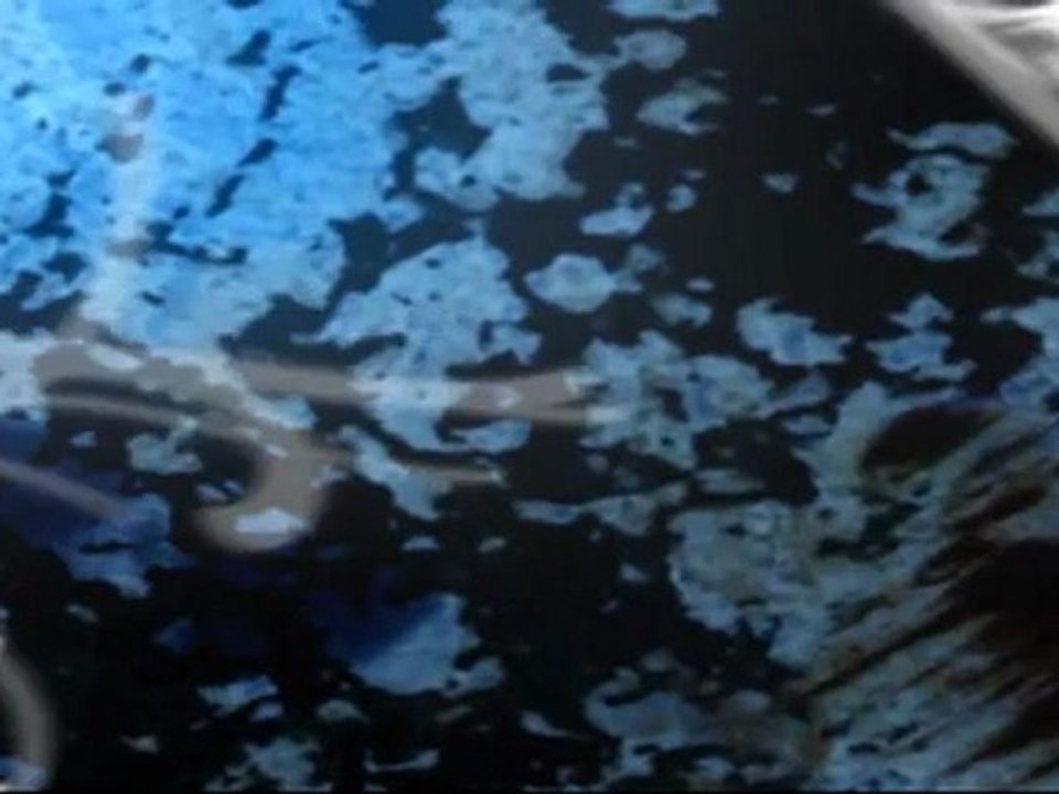 Down Payment Assistance-NIDFA reveals new down payment assistance solution