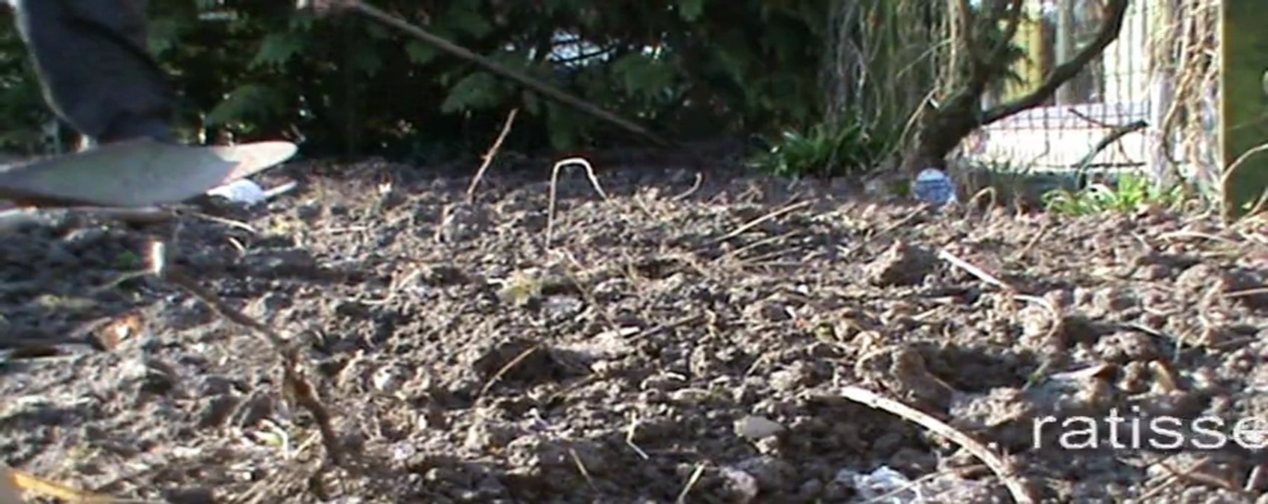 coté fleurs