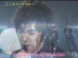 [Vietsub   Kara ]DBSK - Doushite Kimi wo Suki ni Natte Shimattandarou- ( Live at Tokyo Dome )