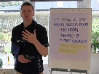 Joy with being a SAP Freelancer