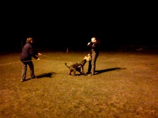 Furio au mordant 22.03.2012