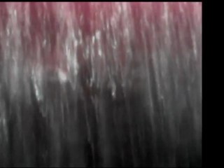 The Feast of Flowers  "華の宴"  movie version