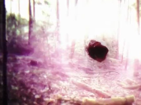 Fran Rubio MontajeVídeo C.E.A