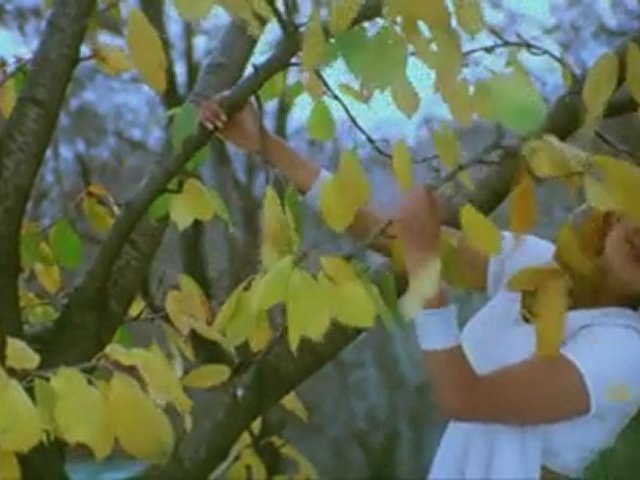 INDIAN FILM SONGS by Rajamehboob - dailymotion