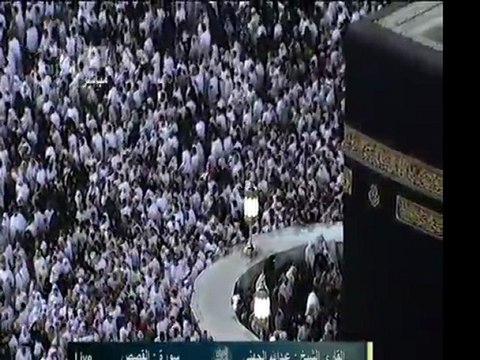 ماتيسر من سورة القصص :: عبد الله الجهني