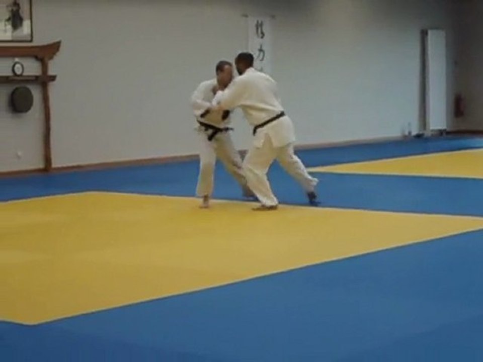 Passage obligé des 3 premières séries du Nage no kata pour l'obtension du 1er dan