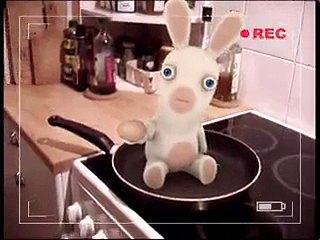 Bunnies Cant Cook Eggs