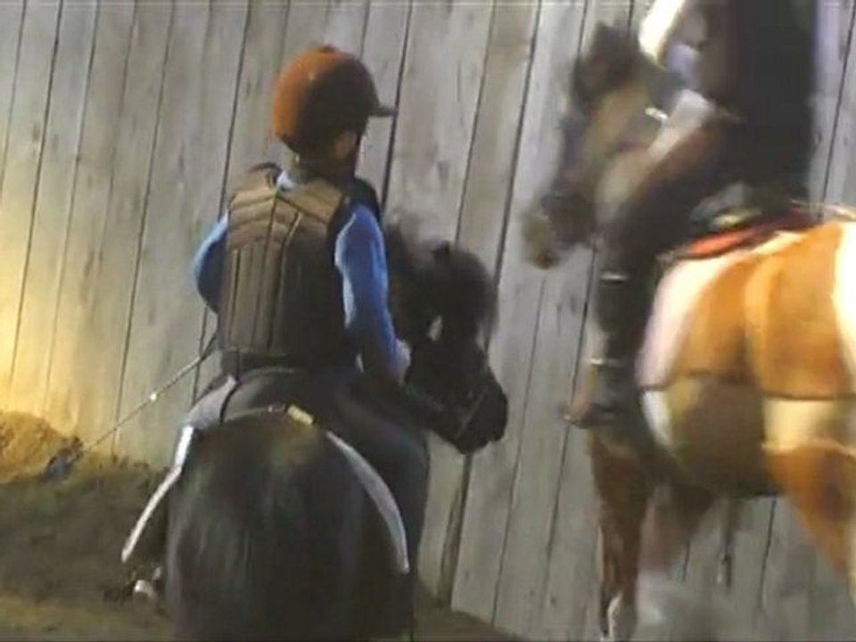 sacré poney