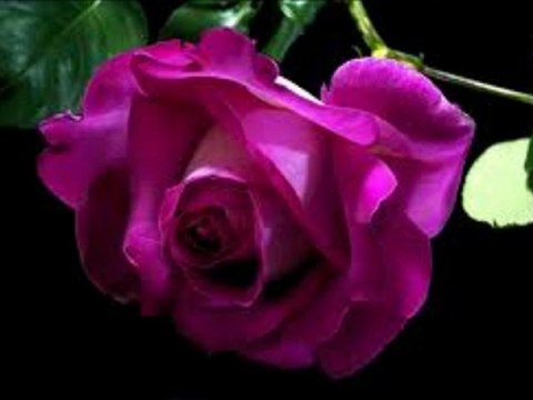 seslidesevgi SaNa Ders OLSun AkıLI OLacaksın