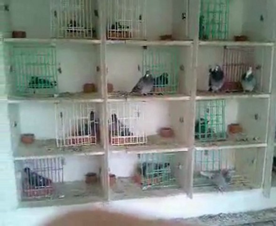 video-0001