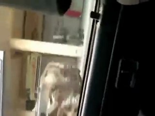 فري برس حماة المحتلة  الدبابات تسير في شوارع المدينة للارهاب  24 3 2012