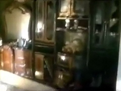 فري برس حرق منازل الناشطين في معردس ريف حماه