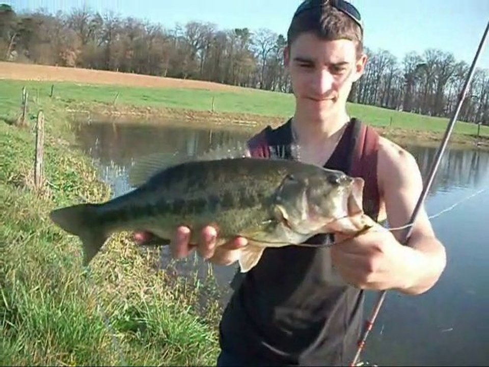 Black au petit leurre souple