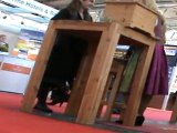 Shoeplay