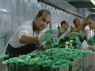 Revoir l'émission spéciale Marseille Marathon 2012