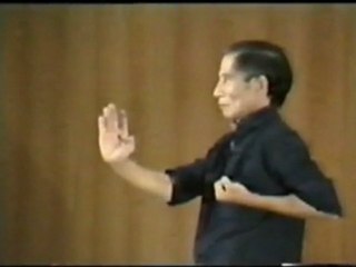 Yip man - Original Wing Chun - Siu Lim Tao