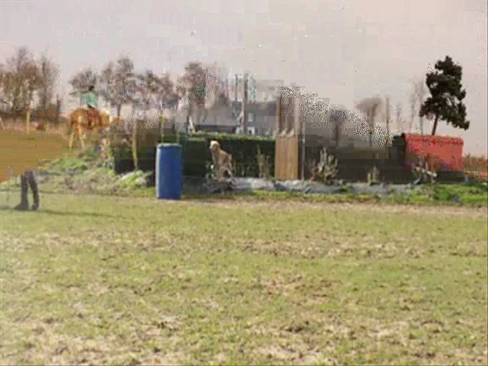 Raz Koat 22 mars 2012