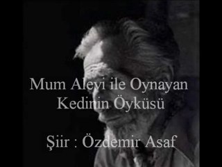 Bayram Karaali-Mum Alevi ve Kedi
