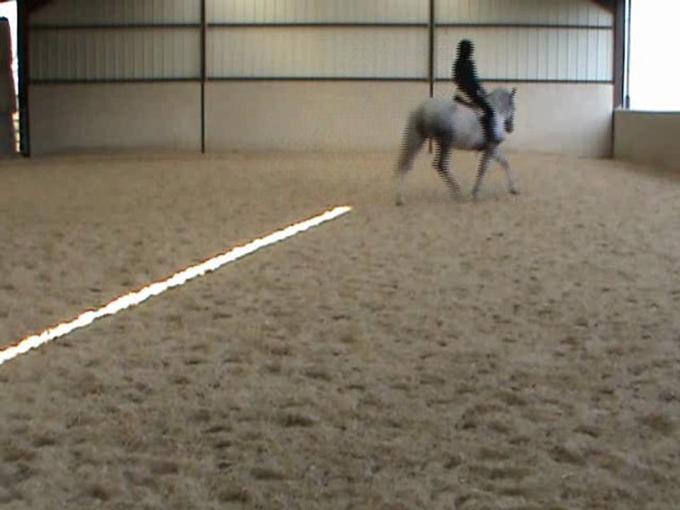 recherche d'une future extension d'encolure pour yt