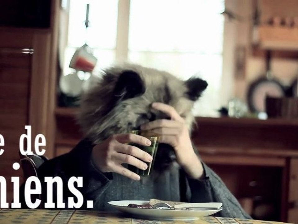 Vie de chiens.