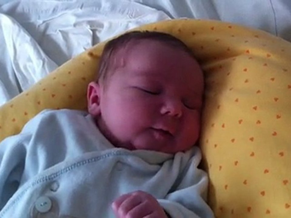 Charlie 10.03.2012