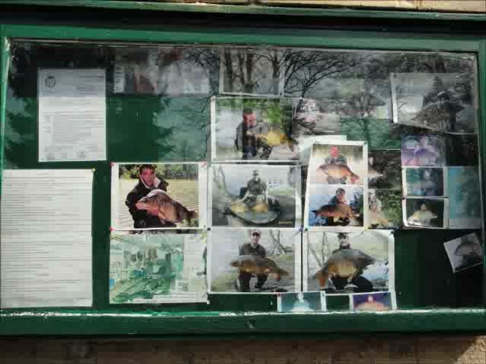 Balade aux étangs de Commelles_MP4_