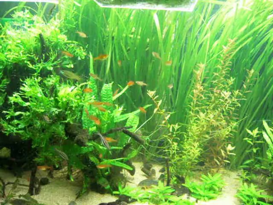 feeding time