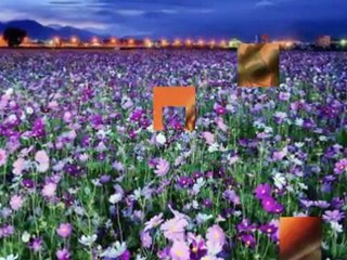 Erdal ERZİNCAN    "YARAM VAR BENİM"