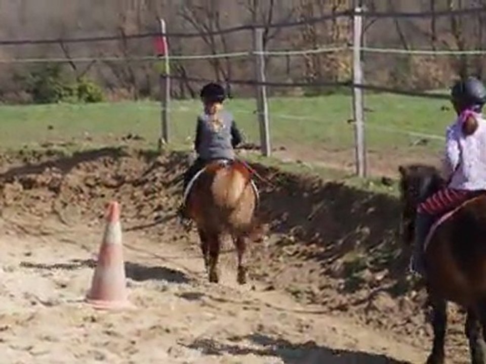 Salom au trot