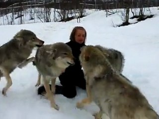 Une femme retrouve ses loups