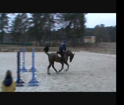 fontainebleau fev 2012 cso docteur Pradier