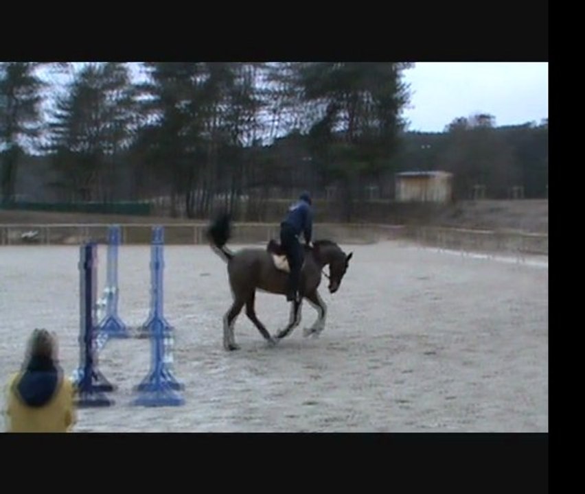 fontainebleau fev 2012 cso docteur Pradier