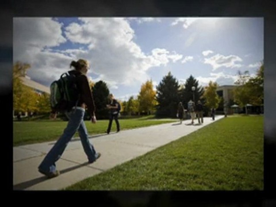 Discovering The Right Online Degree To Take