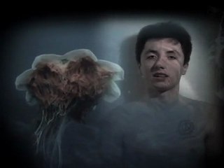 Merçe Vivo - LAPIS (2012)