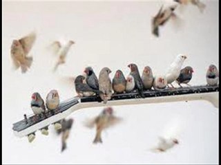 Aglama - Nurettin Rençber