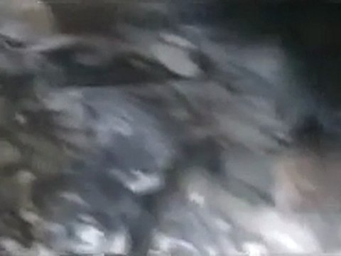 فري برس حماة المحتلة الحميديه إحراق المنازل بالقصف من قبل الجيش 24 3 2012