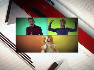 Топ Видео Шоу Рунета №4