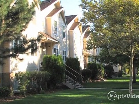 Davis Park / Stewart Avenue - Huge and Affordable! ...