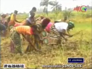 Promotion des activités agricoles dans la Bouenza