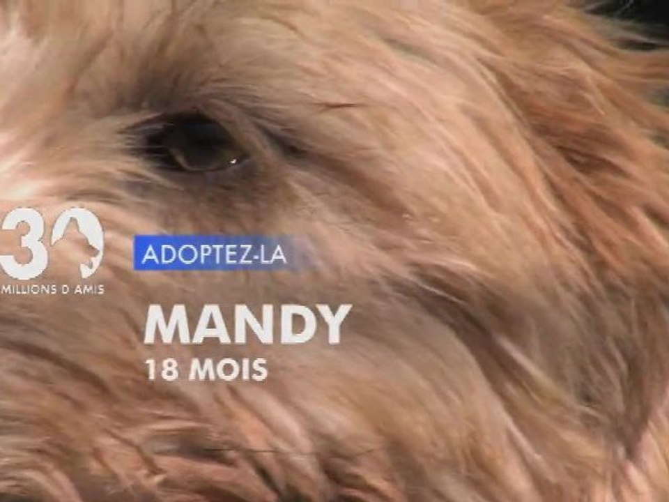 Adoptez Mandy