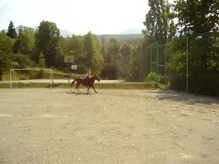 saut d'obstacle