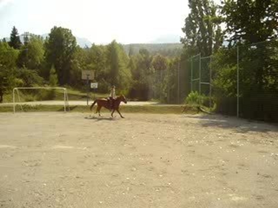 saut d'obstacle