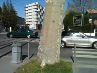 begles terres neuves - blvd jjbosc - dim25mars2012 12h45