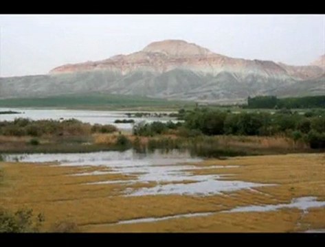 Çayırhan Nallıhan Ankara